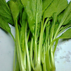 green china cabbage sawi hijau 1/2kg