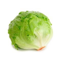 iceberg lettuce 1/2kg