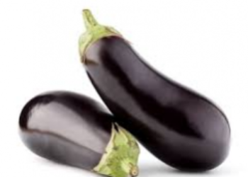 aubergine 1kg