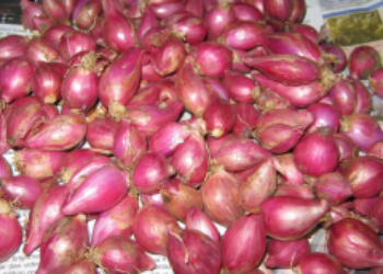 red onion challots 250gr