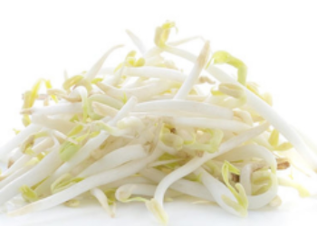 beansprouts fresh 250gr