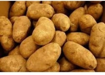 potatoes large 1kg