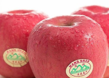 wang shan apples 1kg