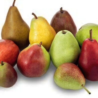 pear types