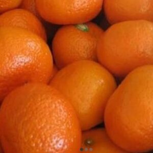 moorcott oranges aus1kg