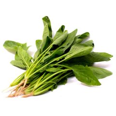 horenso Japanese spinach 250gr
