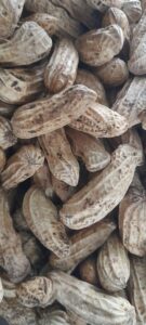 peanuts in shell 1kg