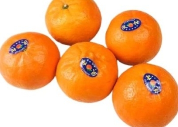 wokam madu oranges