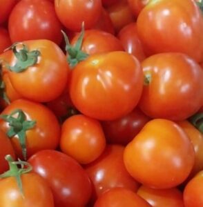 round organic tomatoes