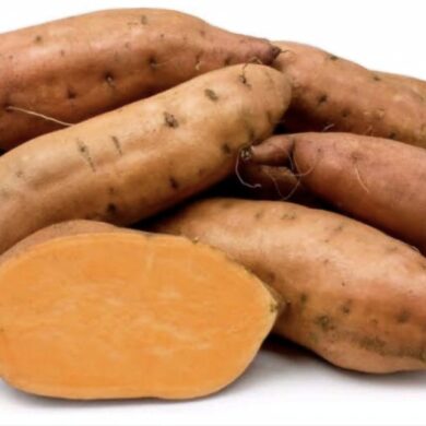 honey sweet potato